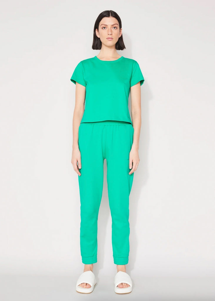 ESSENTIAL TRACK PANT - POOL GREEN